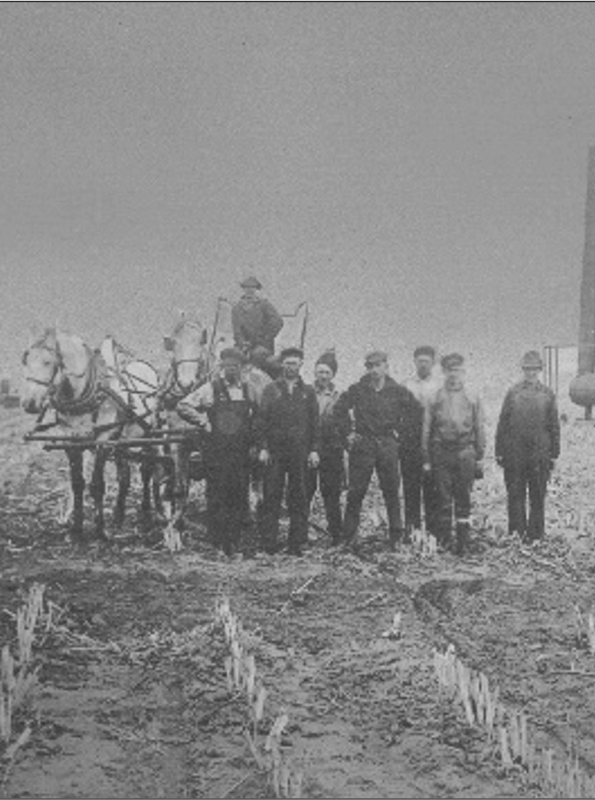 Image-1
